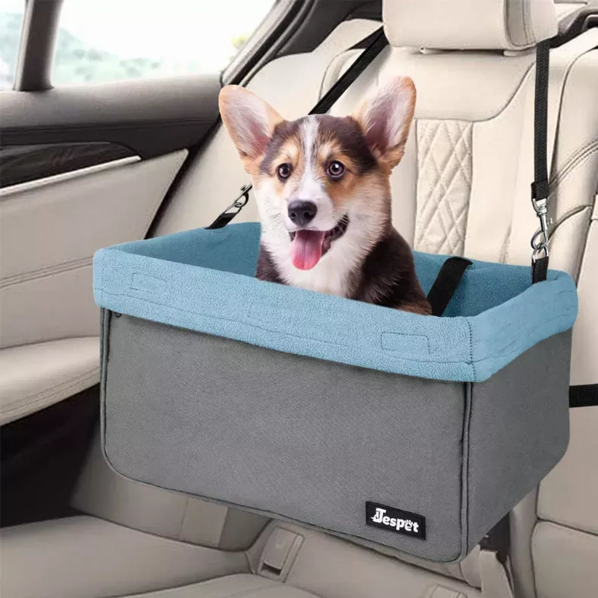 Small dog car booster seat for car travel