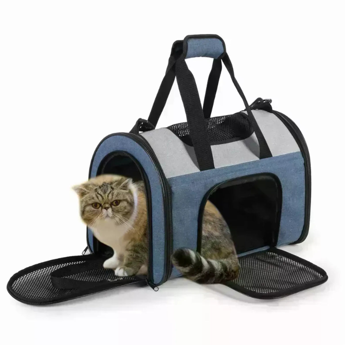 JESPET soft-sided pet travel carrier for small dogs and cats