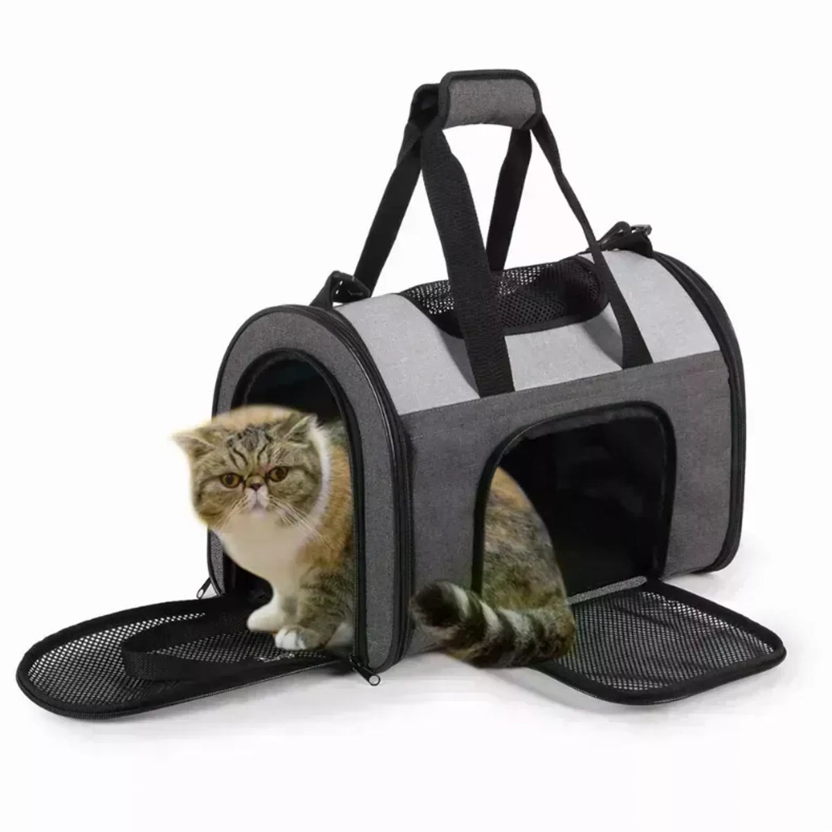 Additional product view of Soft-Sided Dog & Pet Travel Carrier up to 15 lb – JESPET