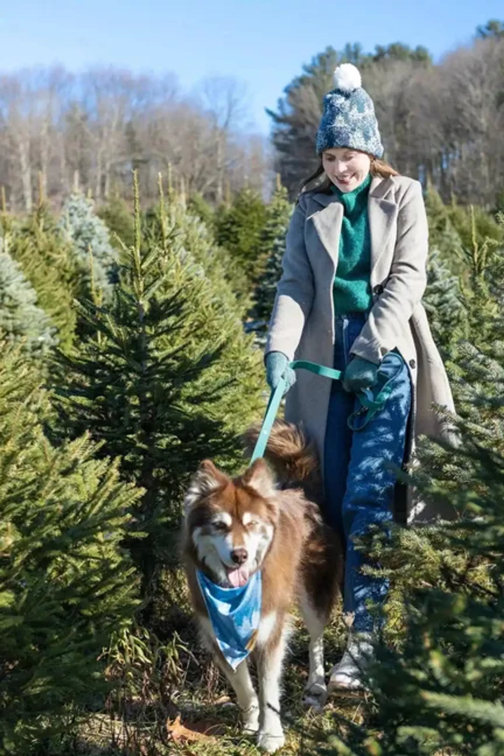 Additional product view of 6 ft Waterproof Dog Leash with Traffic Handle – Siberian Spruce