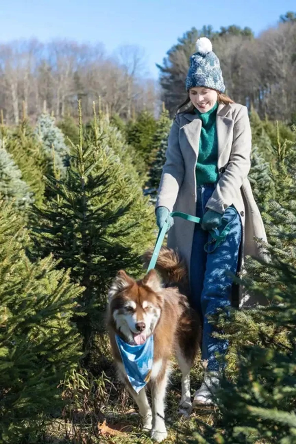 Additional product view of 6 ft Waterproof Dog Leash with Traffic Handle – Siberian Spruce