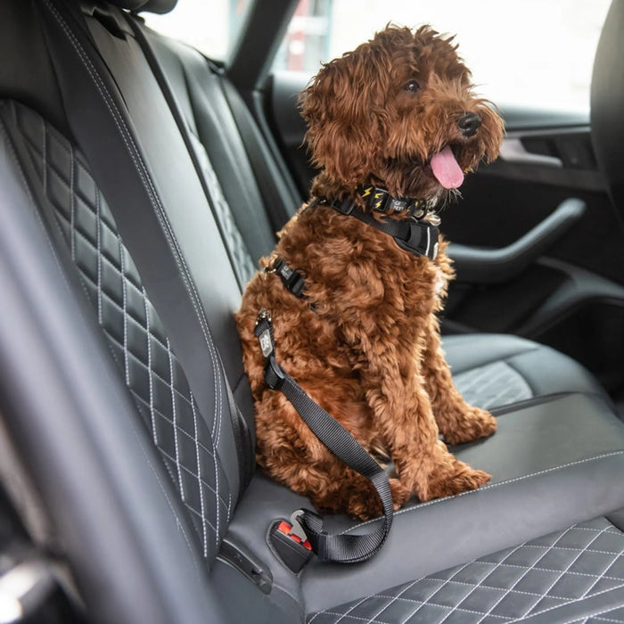 Adjustable dog seat belt tether for car travel