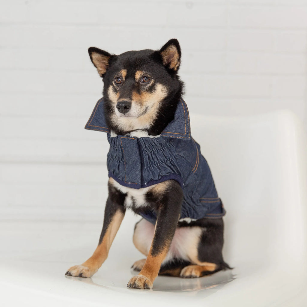 Additional product view of Sherpa-Lined Denim Dog Jacket – GF Pet Elasto-Fit