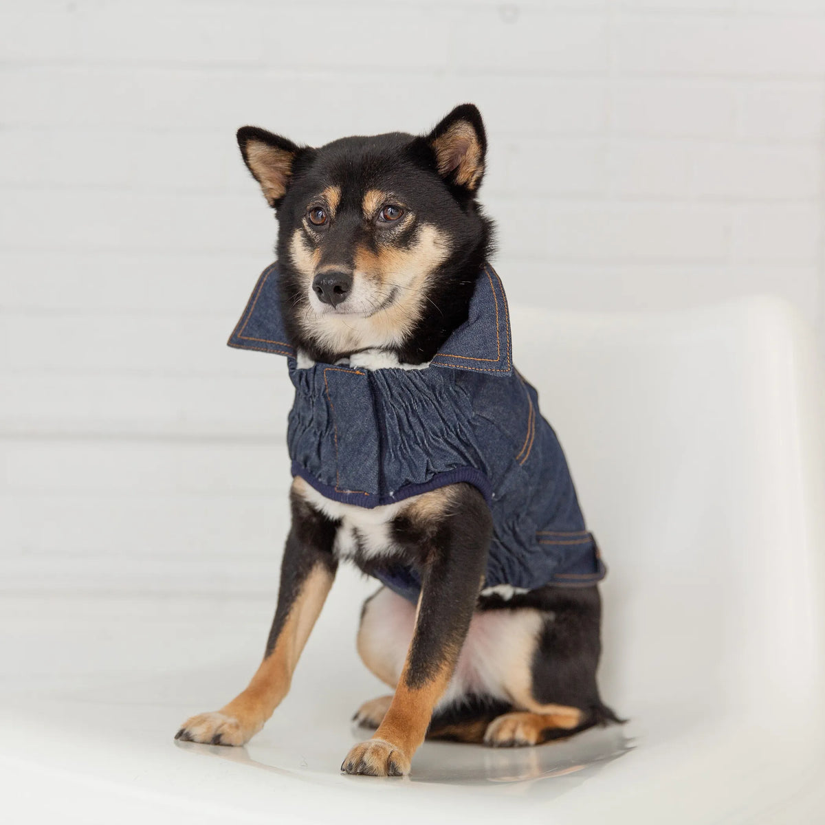Additional product view of Sherpa-Lined Denim Dog Jacket – GF Pet Elasto-Fit