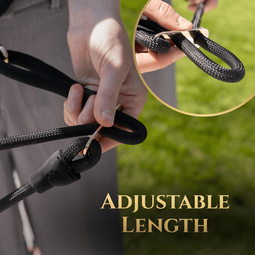 Additional product view of Hands-Free No-Pull Dog Leash for Walking & Training – Calm Command