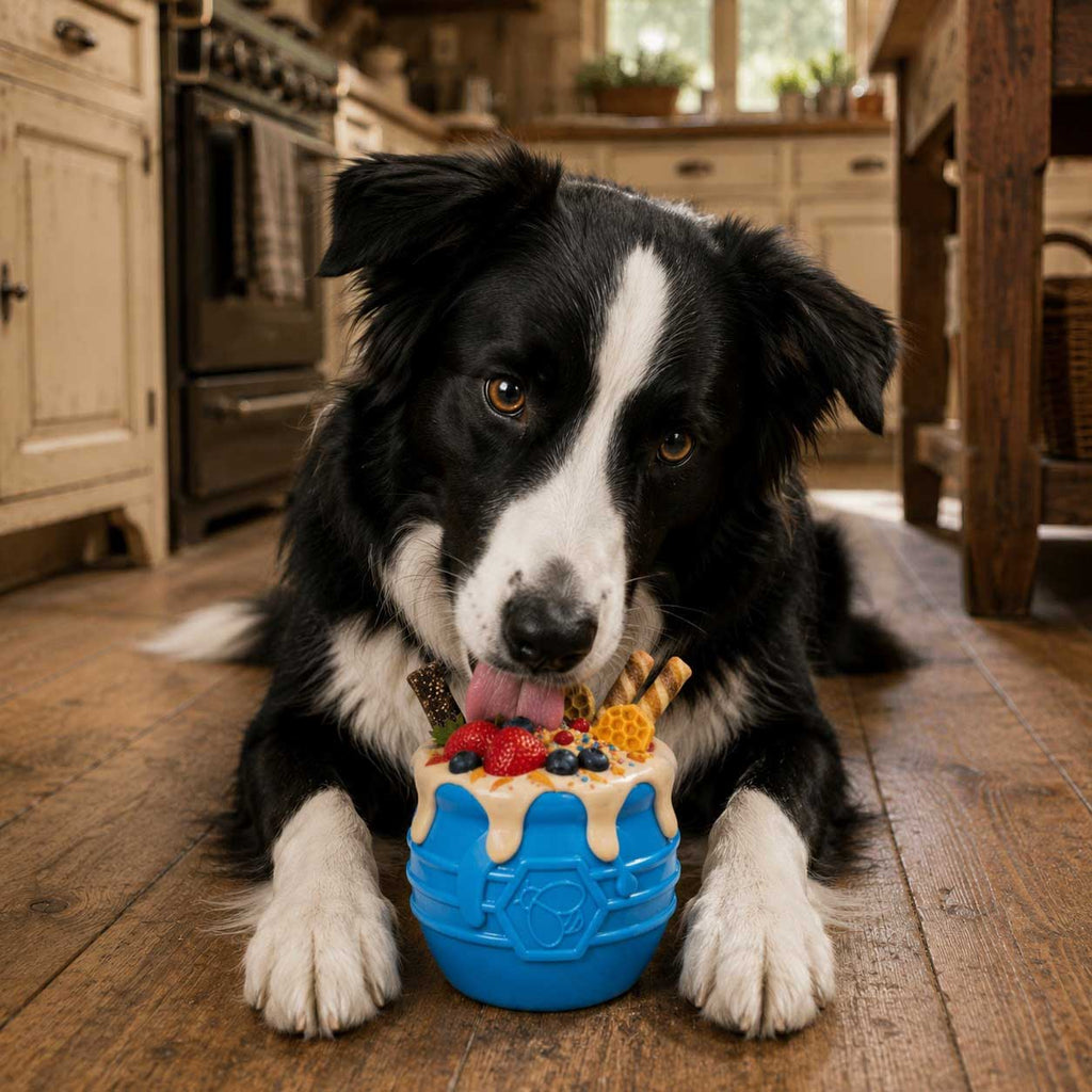 Additional product view of SodaPup Honey Pot Dog Treat Dispenser