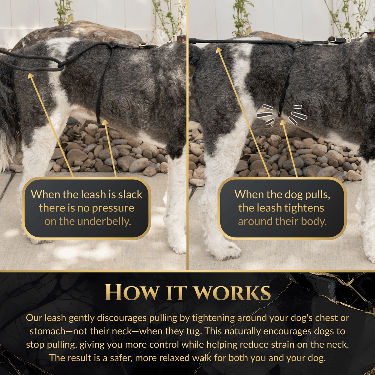 Additional product view of Hands-Free No-Pull Dog Leash for Walking & Training – Calm Command