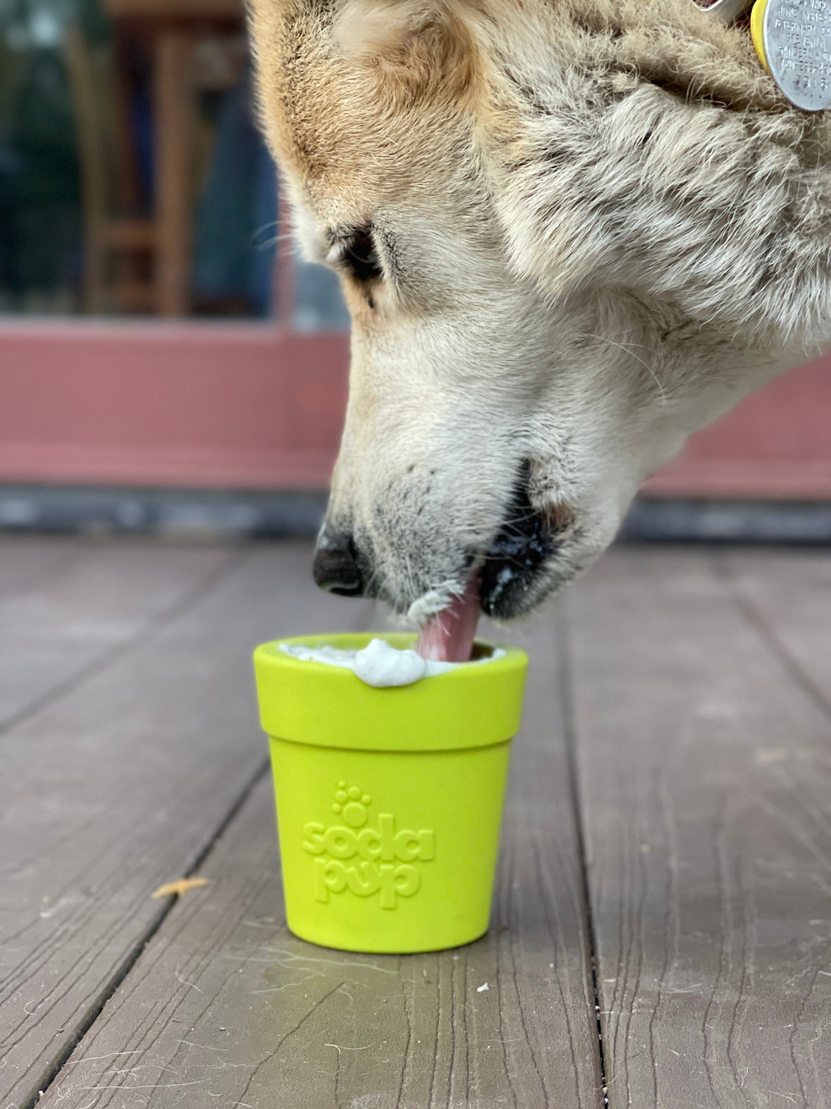 Additional product view of SodaPup Flower Pot Dog Treat Dispenser – Large