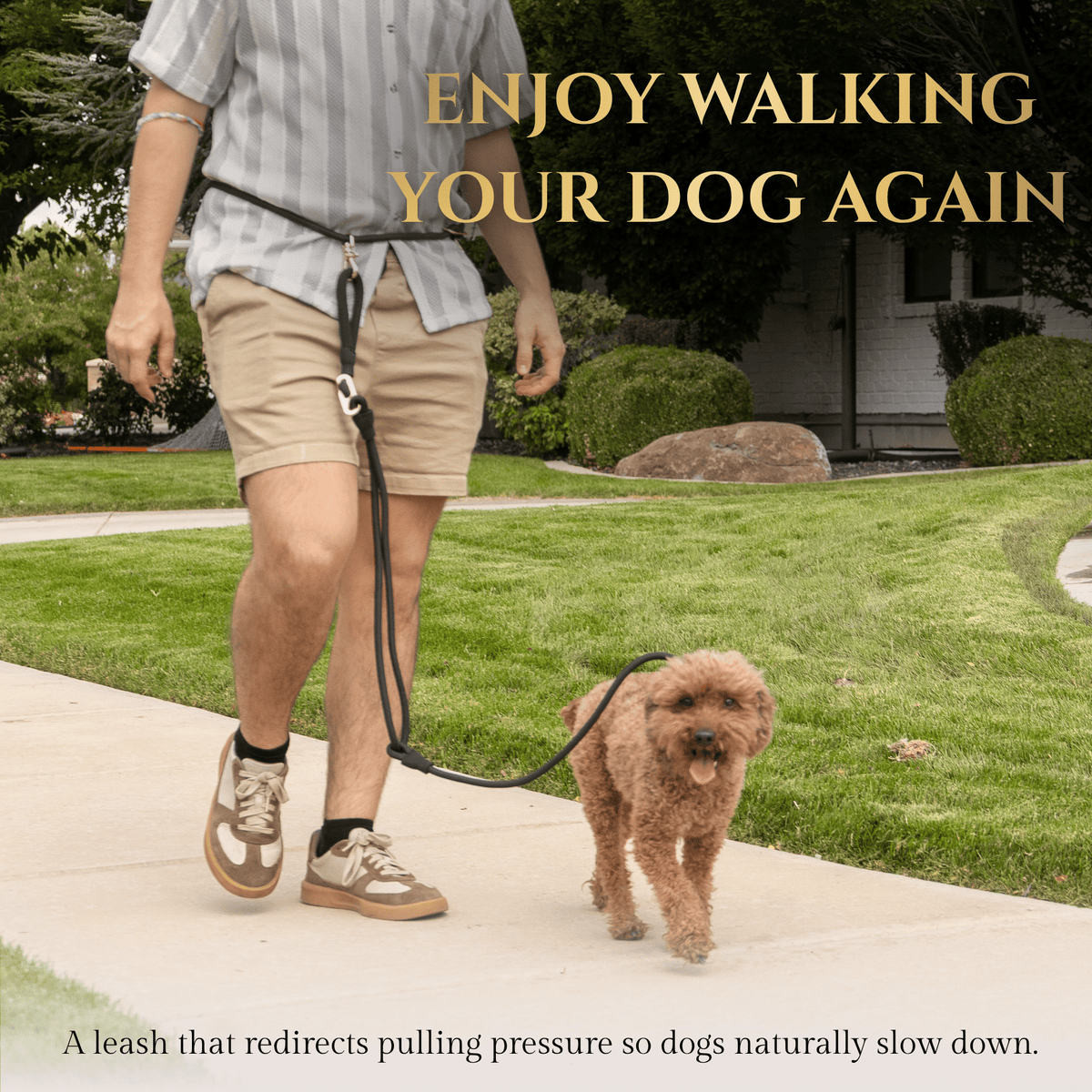 Additional product view of Hands-Free No-Pull Dog Leash for Walking & Training – Calm Command
