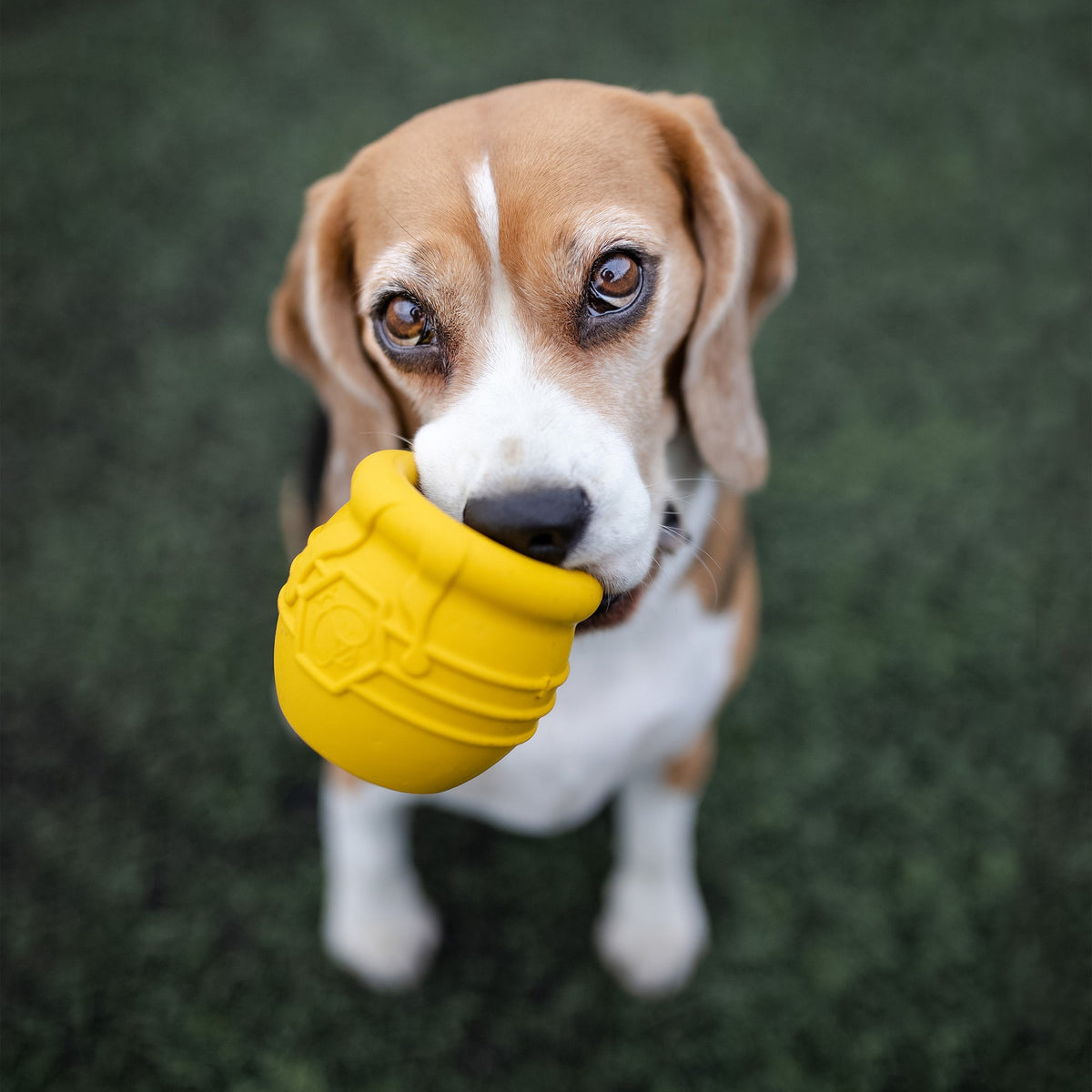Additional product view of SodaPup Honey Pot Dog Treat Dispenser