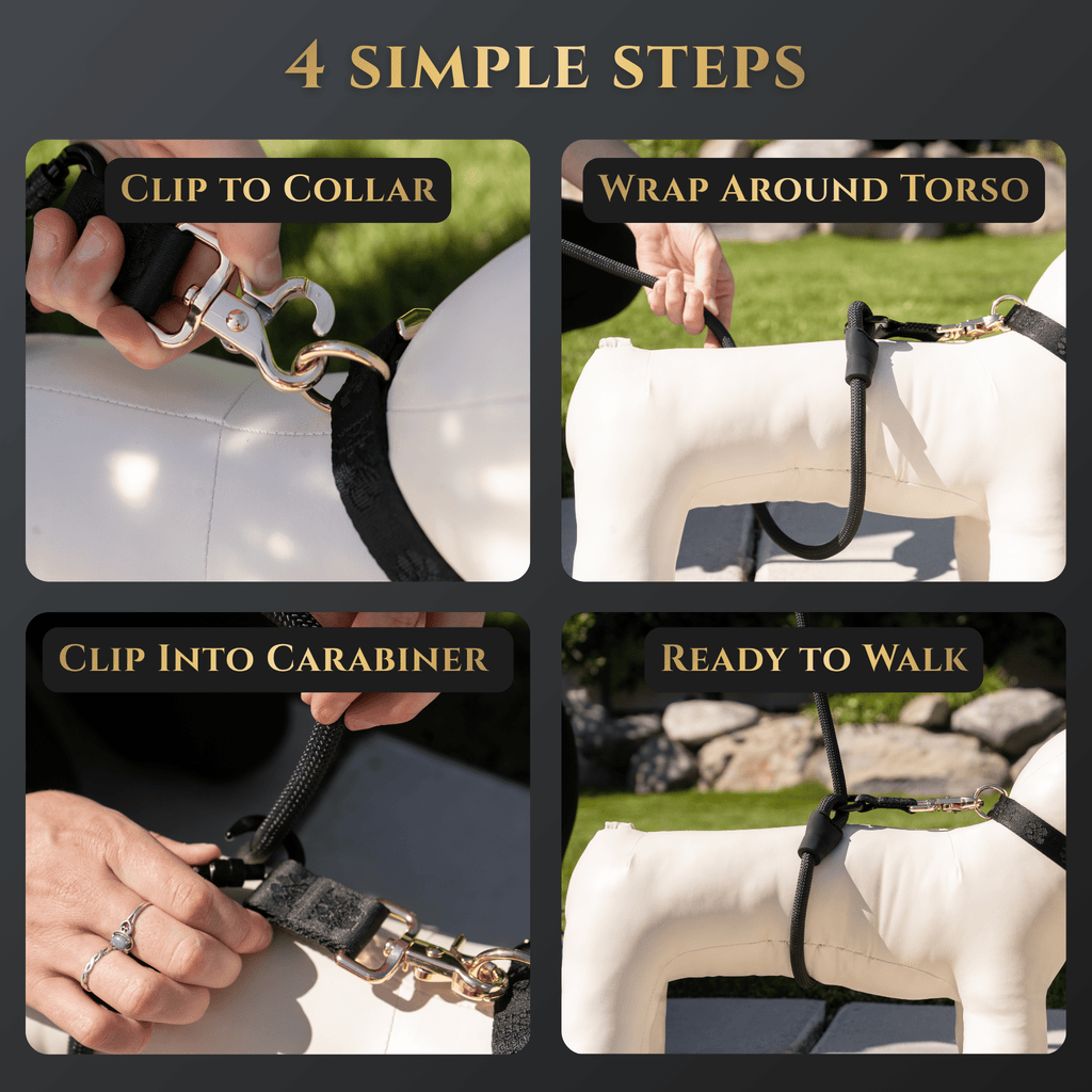 Additional product view of Hands-Free No-Pull Dog Leash for Walking & Training – Calm Command