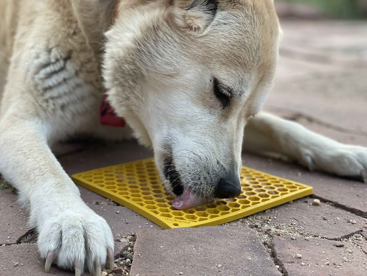 Additional product view of Dog Lick Mat for Enrichment – SodaPup Honeycomb